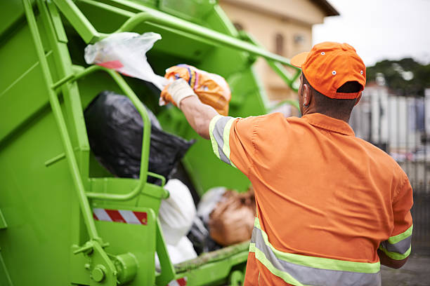 Yard Cleanup Services in Taylor, AZ